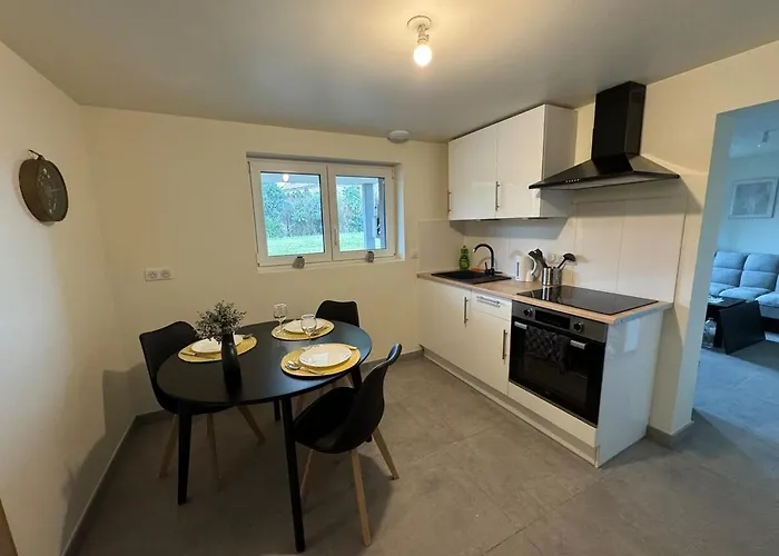 Quietude Au Bord Du Rhin Apartment *