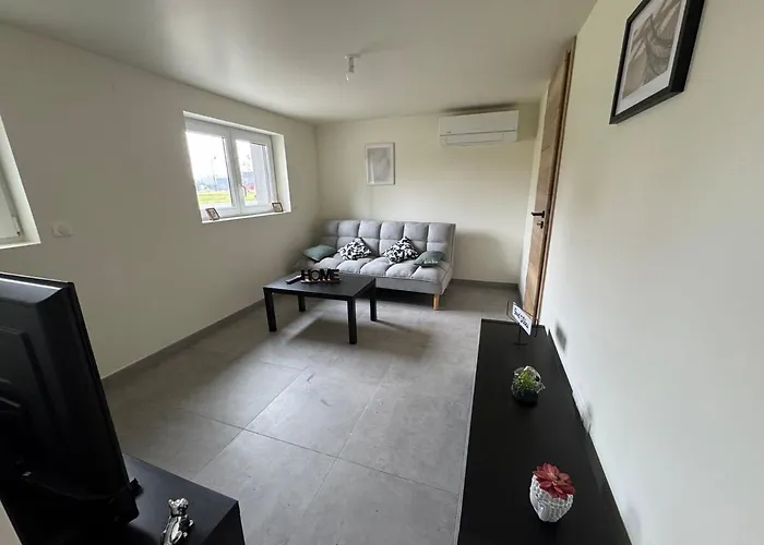 Quietude Au Bord Du Rhin *