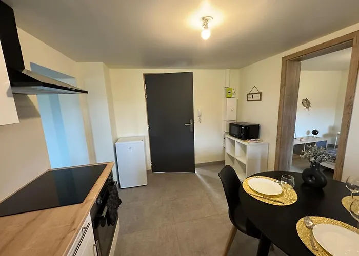 Quietude Au Bord Du Rhin Apartment