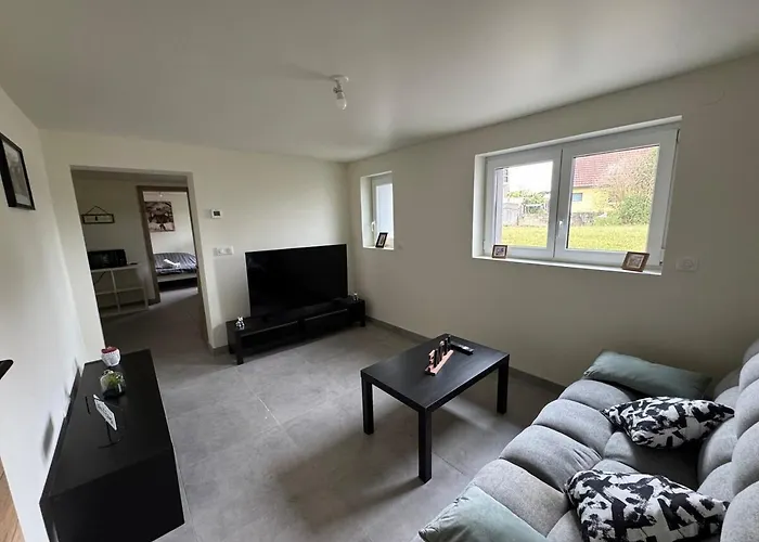 Quietude Au Bord Du Rhin